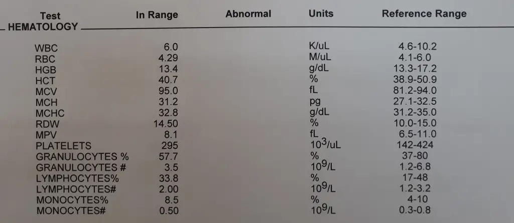 CBC test for a male age 28