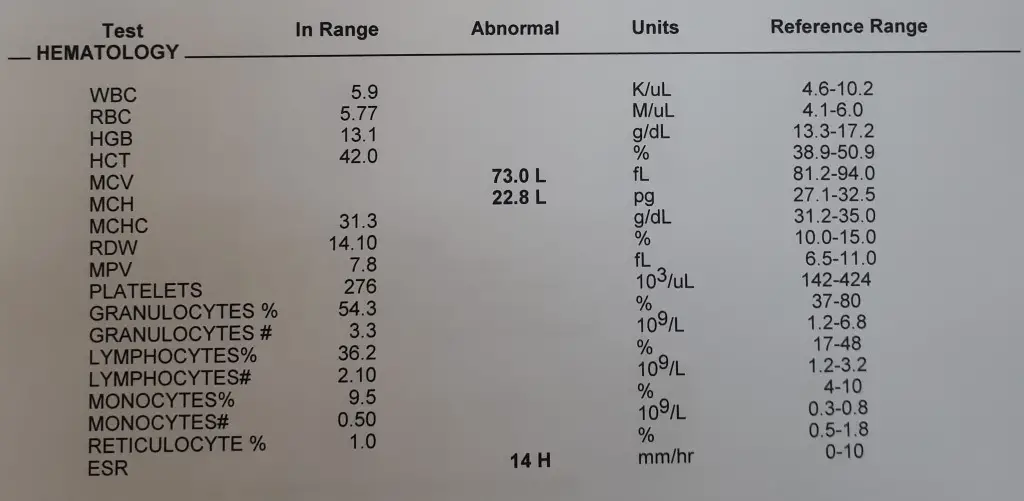 CBC test for a male age 48