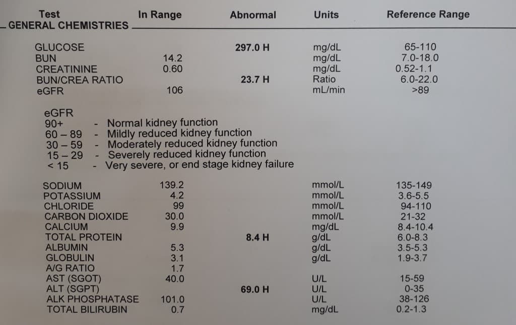 Comprehensive Metabolic Panel Blood Test Results With Pictures ...